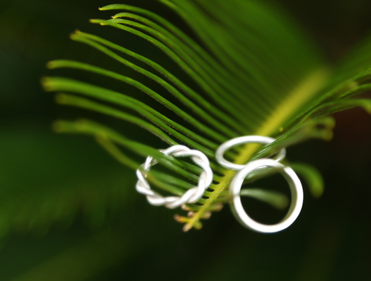 Três anéis em prata em cima de folha verde. 